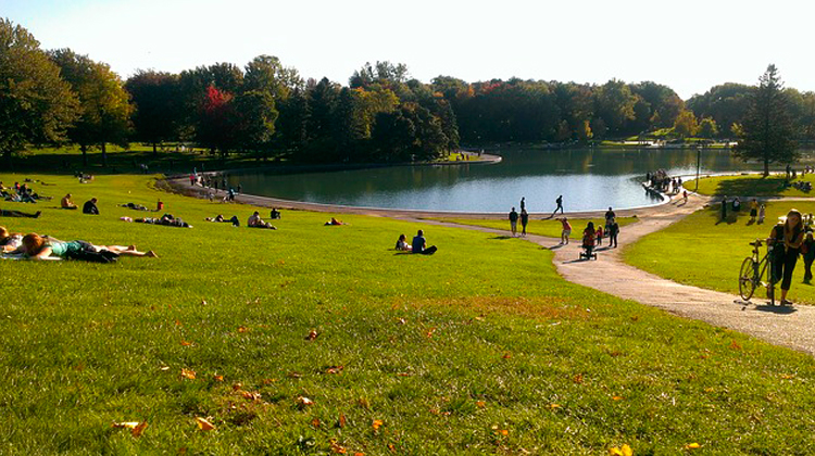 Mont-Royal Park